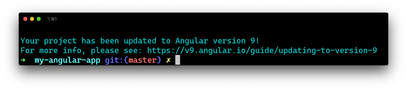 Terminal - Updating to Angular 9 confirmation