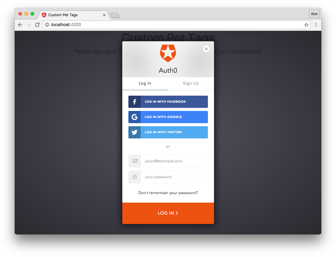 Angular app with ngrx/store and authentication with Auth0